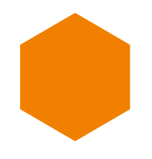 Salmed Connect logo